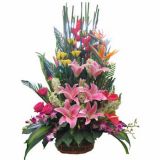 ʺʻٵ