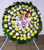 ʺͿҵ